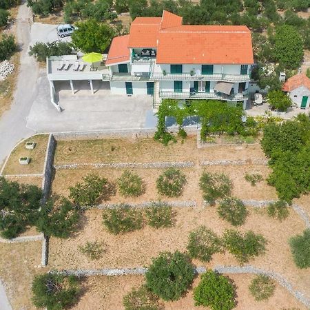 Villa Jelena 马卡尔斯卡 外观 照片
