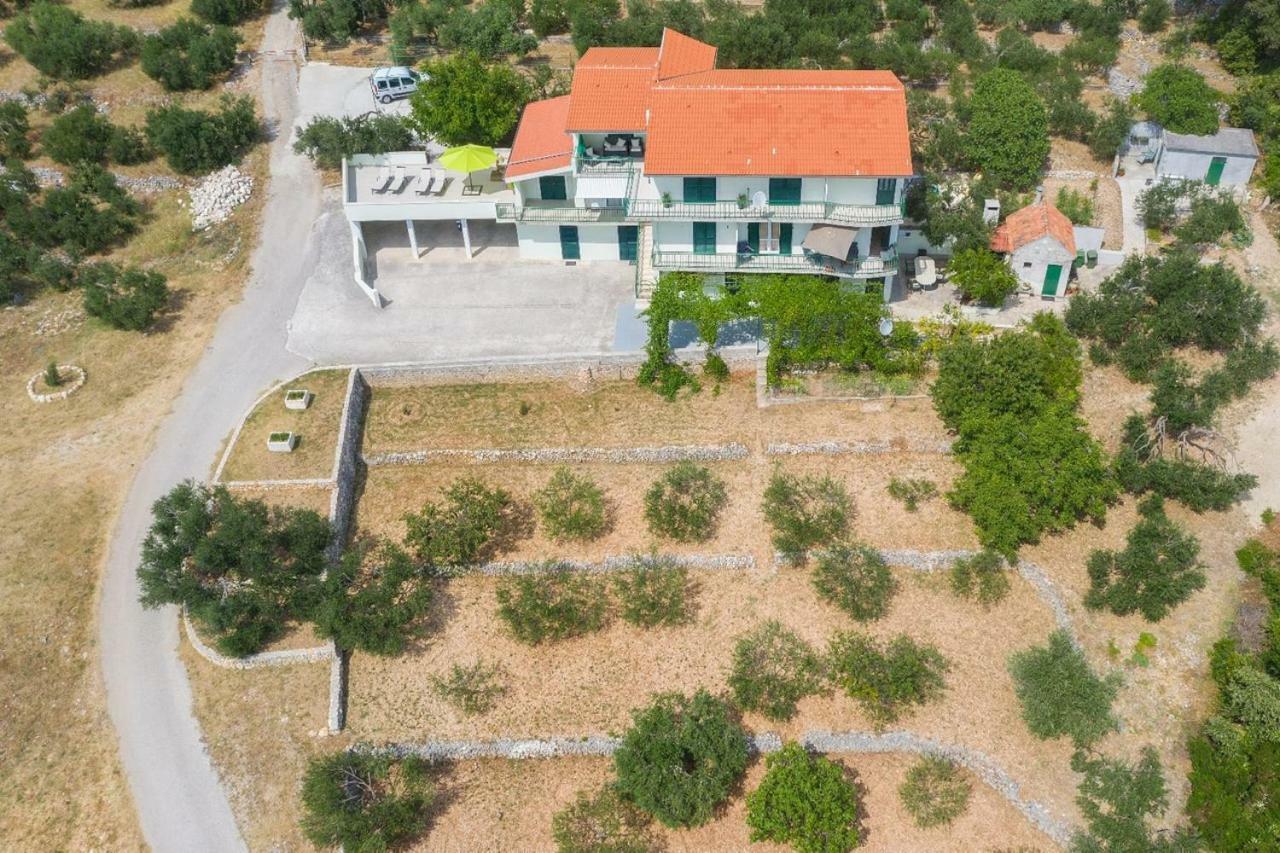 Villa Jelena 马卡尔斯卡 外观 照片